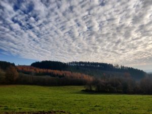 Huis in Wanne
