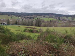 Huis in Wanne